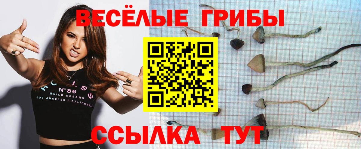 наркотики  Галлюциногенные грибы Cubensis  Галлюциногенные грибы ЛСД  Вход с VPN  Сыктывкар 